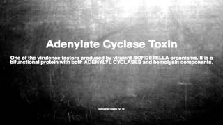 Medical vocabulary What does Adenylate Cyclase Toxin mean [upl. by Nomal]