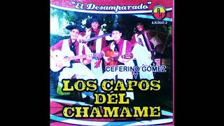 LOS CAPOS DEL CHAMAMÉ  El Desamparado Disco Completo [upl. by Haymes281]