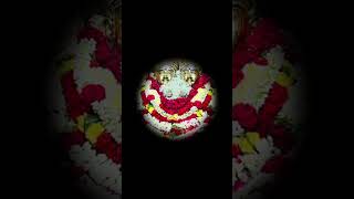 Shree Sharanabasaveshwar 🙏🏵Kalaburagi sharana God song Bhaktisongs Mondaywhatsappstatusvideo [upl. by Ientruoc572]