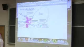 18 Biochemistry Lecture Transcription II from Kevin Aherns BB 350 Broadband [upl. by Myles]