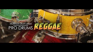 Pro Drums Reggae by Image Sounds Steinberg Edition [upl. by Akselav657]