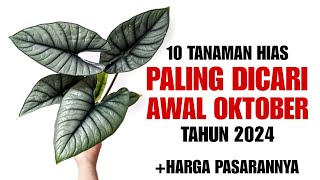 10 Tanaman Hias Paling Dicari di Minggu Awal Oktober 2024 [upl. by Goodard]