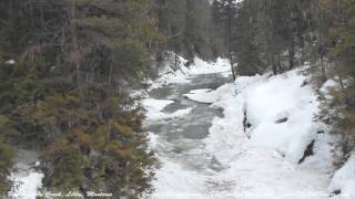 Upper Libby Creek Ice Jam [upl. by Kcirdneked342]