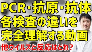 PCR・抗原・抗体検査の違いが完全にわかる動画 [upl. by Massie168]