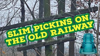 Exploring an OLD Railway for Glass Insulators [upl. by Annaeerb801]