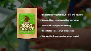 Root Boost Overview [upl. by Ellesirg619]