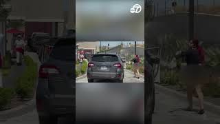 Video captures wild InNOut drivethru fight in Santa Clarita [upl. by Rahab396]