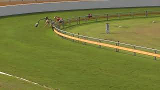 Bundaberg08072024Race7 [upl. by Grazia]