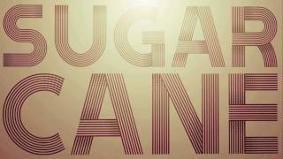 Sugarcane  Shaggy Official Lyric Video [upl. by Heymann]