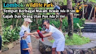 Lombok Wildlife Park ‼️Rekomendasi Wisata Di Pulau Lombok [upl. by Pears]