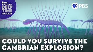 Could You Survive The Cambrian Explosion [upl. by Devol]