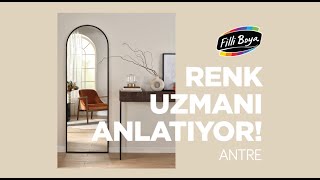 Filli Boya Yılın Renk Paleti 2024 Antre [upl. by Esinet]