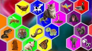 Kids Animal Hunt Game [upl. by Edmonda]