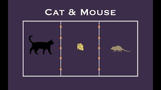 Cat amp Mouse Game [upl. by Ednalrym572]