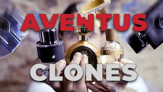 quotI bought every Aventus clone so you dont have toquot  Perfumer Reviews [upl. by Lodovico]