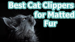 6 Best Cat Clippers for Matted Fur [upl. by Leod]