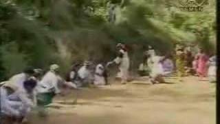 Ayoob Tarish  Yemeni Song [upl. by Nnair]