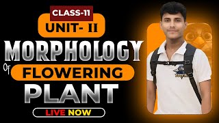 MORPHOLOGY OF FLOWERING PLANTS CLASS 11  NCERT DEEP LINES  COMPLETE NCERT FOR NEET 2025 [upl. by Isteb]