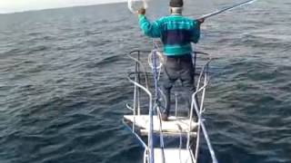 pesca de albacora taltal 2013 parte1 [upl. by Nazarius]