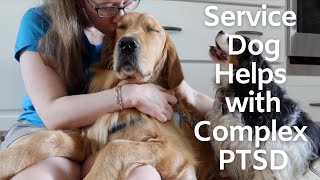 How My Service Dog Helps with Complex PTSD [upl. by Nulubez]