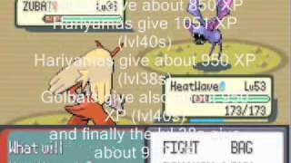 Pokemon Emerald Level Up Guide before the Elite Four  Levels 4060 [upl. by Ajiram]