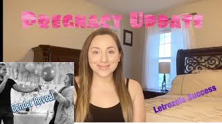 Pregnancy Update  Letrozole Success [upl. by Yruok]