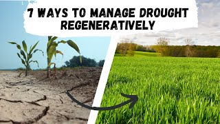 7 Regenerative Ways to Manage Drought [upl. by Isabelita]