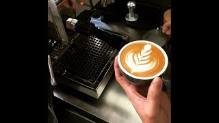 Profitec Pro 300  Making a Flat White [upl. by Sproul969]