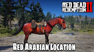 How to easily Found And tamed The Red chestnut Arabian Horse  Red Dead Redemption 2 [upl. by Mihe]