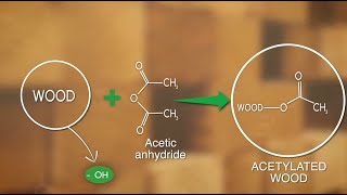 Building Science What is Accoya Wood  Episode 1 [upl. by Ricardo]