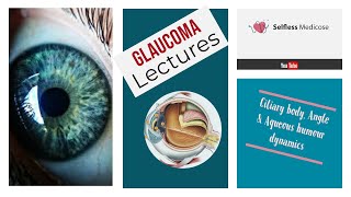 GLAUCOMA full explanation with pathogenesis part 2 [upl. by Esinyl]