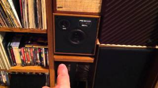 Design Acoustics PS10 Speakers Review and Demo [upl. by Kaenel]