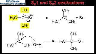 R349 SN1 and SN2 mechanisms HL [upl. by Matty283]