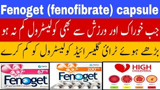 fenoget capsule use in urdu  fenofibrate capsule  high cholesterol  dyslipidemia  high TG level [upl. by Mikahs879]