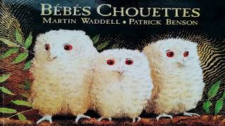 Lecture dalbums Bébés chouettes lécole des loisirs [upl. by Mark975]