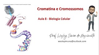 Biologia Celular Ensino SuperiorAula 08 Cromatina e Cromossomos [upl. by Aihsoem159]