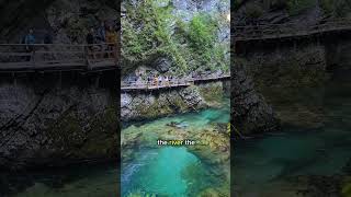 You only have until October 10th to visit Vintgar gorge before they close for the season slovenia [upl. by Doersten200]