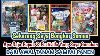 Bongkar semua  tanaman cabe subur luar biasa ini dia pupuk dan Pestisida [upl. by Stelmach936]