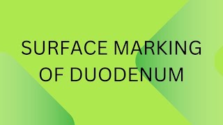 Surface marking of duodenum [upl. by Erdah]