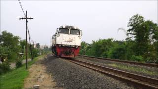 Bugs Kompilasi Kereta Ngebut Lewat CikampekDawuan Fast Diesel Locomotive [upl. by Stefan]