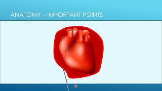 4 Pericardiocentesis  Anatomy [upl. by Wallas]