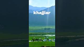 khajjiar Mini Switzerland in India  Himachal [upl. by Harwell236]