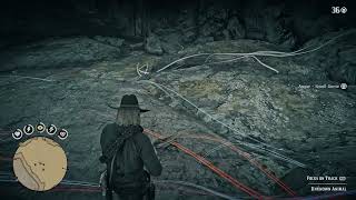 Rdr2  Suvivalist 7  small game arrow kills [upl. by Eojyllib]