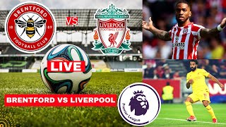 Brentford vs Liverpool 14 Live Stream Premier League EPL Football Match Score Commentary Highlights [upl. by Haisa630]