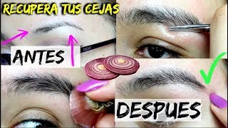 COMO ENGROSAR LAS CEJAS DE MANERA NATURAL 100 EFICAZ [upl. by Duong716]