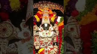 Thirumala tirupathi vemkkanna srivelordvenkateshwara devotionalsongsra babyaasritha [upl. by Llerrehs]