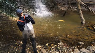 Insane Waterfall Steelhead Hookups  Bobber Downs  Fly Fishing [upl. by Orecic]