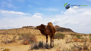 History of Kyzyl Kum desert Ayaz Kala Fortress [upl. by Ahsykal]