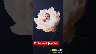 Quet sa mera pyara saa hm sb ki jaan hai bhatijaviralvideo youtubsubscribesharemychannel 🥰🥰🥰🥰🥰🥰 [upl. by Rondi]