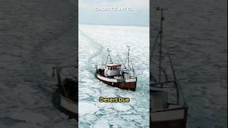 Antarctica Dangerous Continent On Earth facts antarctica youtubeshorts shorts shortvideo gk [upl. by Illona]